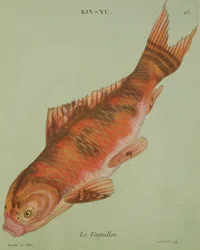 Le Vermillon, gegraveerd door Francois Nicholas Martinet (1731-p.1796)