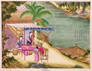 Ms 202 f.6 Het sorteren van de cocons, uit een boek over de zijde-industrie