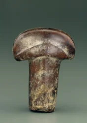 Object in de vorm van een ovale staaf met dikke halfronde knop