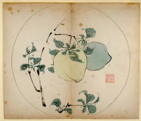 Tien Bamboe Studio Afdrukken, 1643