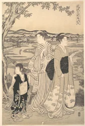 Papegaai-Komachi