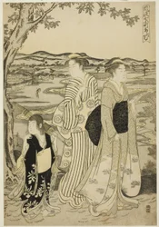 Papegaai Komachi, uit de serie De modieuze zeven Komachi