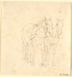 Een span paarden