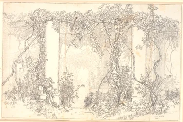Studie van een pergola op Capri