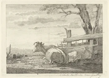 Rustend vee in een landschap