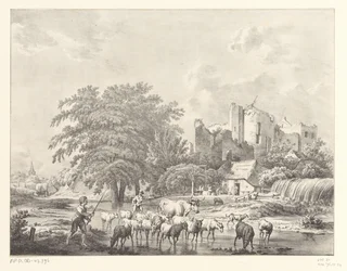 Kudde vee bij ruïne van Kasteel Brederode