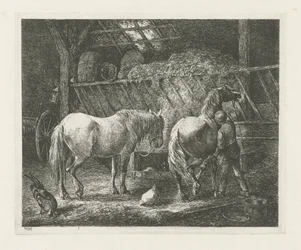 Stalinterieur met twee paarden