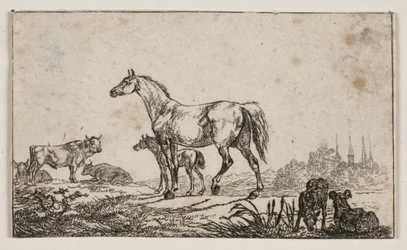 Gebauers visitekaartje
