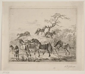 Stoeterijpaarden