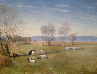 Landschap met schapen