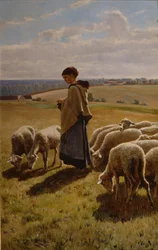 Ochtend in Oktober bij Grez