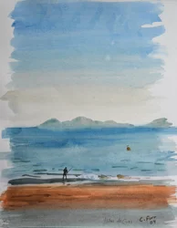 Islas De Cies, 2013