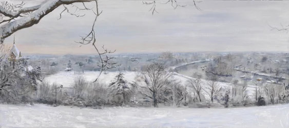 Witte diamanten Richmond Hill Sneeuw, 2015