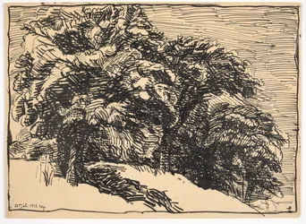 Eikenbomen op een oever