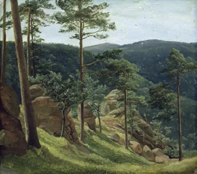 Uitzicht op de berg Brocken