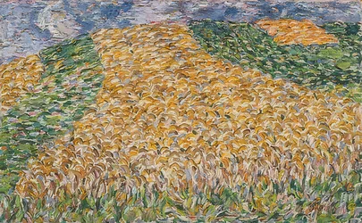 Korenveld