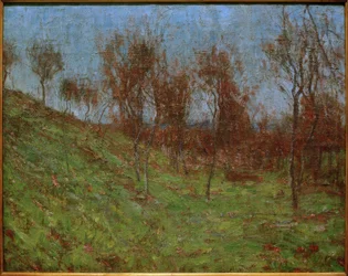 Weidehelling