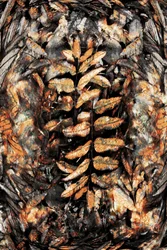 Abstract: Herfstbladeren