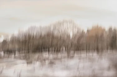 Vage weerspiegeling in het bos