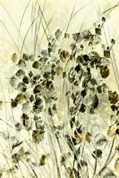 Etherische botanische vormen
