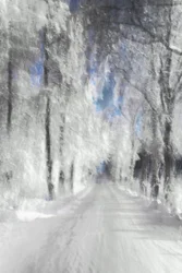 Etherisch besneeuwd pad