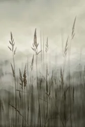 Etherisch hoog gras