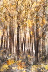 Gouden herfstbos