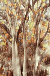 Gouden herfstbos