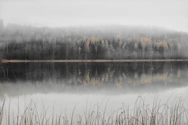 Mistig herfstmeer