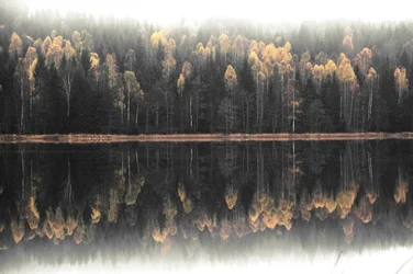 Mistige herfstweerspiegeling