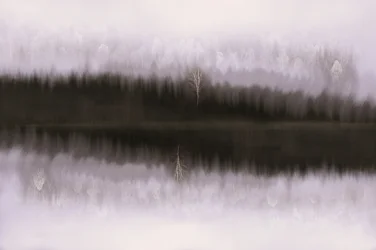 Misty Birch Reflectie