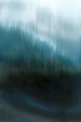 Mistig Blauw Bos
