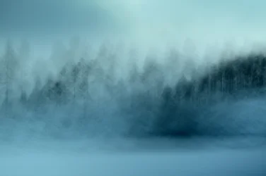 Mistig Blauw Bos