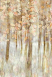Zacht herfstlicht