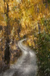 Kronkelend herfstpad