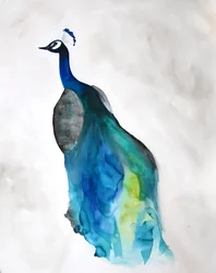 Elegante blauwe pauw