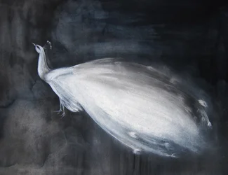 Etherische witte pauw