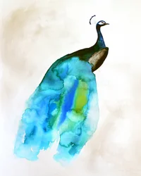 Vloeiende blauwgroene pauw