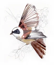 Vliegende aquarelvogel