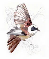 Vliegende aquarelvogel