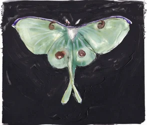 Groene maanvlinder