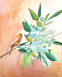 Orange Bird-filiaal