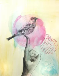 Roze vogel-vingerzitstokje