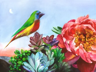 Kleurrijke pioenrozen- en vogeltuin