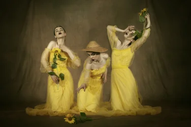 Etherische Zonnebloemvrouwen