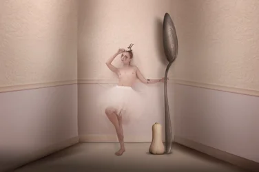 Reusachtige lepelballerina