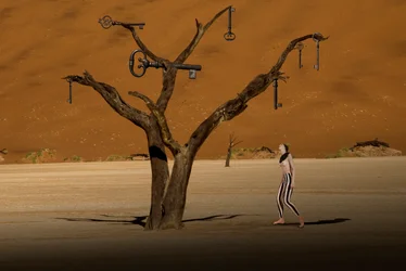 Surrealistische woestijnboom