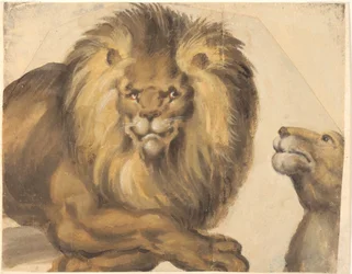 Een mannelijke leeuw en een vrouwelijke leeuwenkop