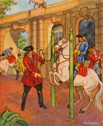 Reitschule / Rijschool