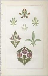 De kunst van decoratief ontwerp: met een bijlage, waarin de uren van de dag worden gegeven waarop bloemen opengaan, uitgegeven door Day & Son, Londen, 1862